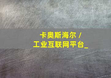 卡奥斯海尔 /工业互联网平台_